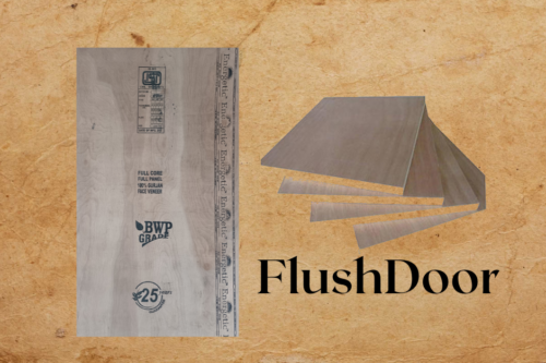 Flushdoor